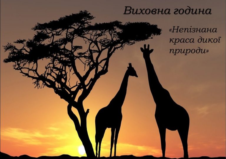"Непізнана краса дикої природи"
