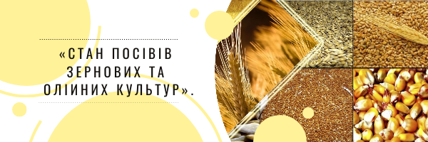 You are currently viewing Участь у вебінарі «Стан посівів зернових та олійних культур»
