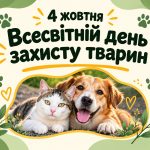 Різні лапки – одна потреба: любов і турбота!