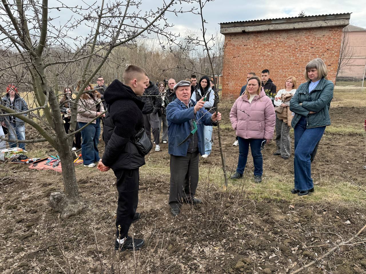 Детальніше про статтю Магія секатора: як обрізка формує врожай і майбутнє саду