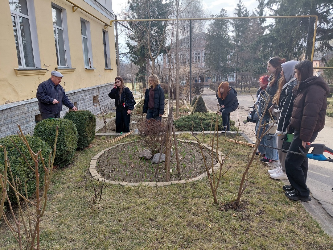 Детальніше про статтю Сучасні підходи до озеленення: майстер-клас із формування крони самшиту